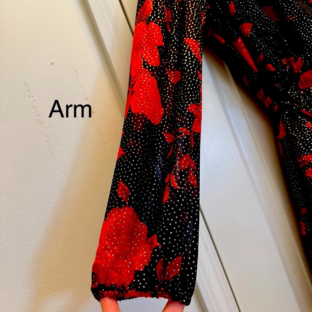 ⭐️HostPick⭐️City Triangles Black & Red Floral Long Sleeve Dress w/ Gold sparkles - Picture 5 of 14